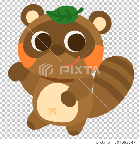 頭上頂著一片葉子的浣熊 107963547