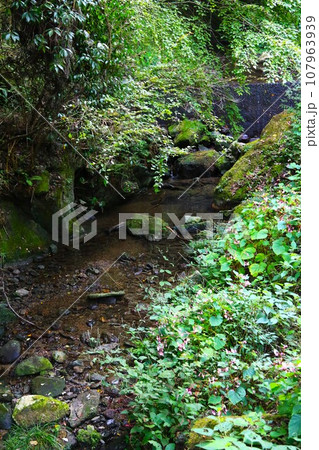 ゆずの里毛呂山町の獅子ヶ滝下流の阿諏訪川の風景 ゆずの里毛呂山町の獅子ヶ滝下流の阿諏訪川の風景 107963939