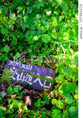 金剛堂山、大長谷側の登山道入口看板 107964229