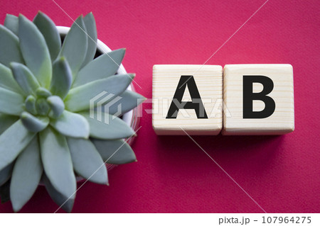 Plan A and Plan B. Plan A and Plan B on wooden cubes. Beautiful red background with succulent plant. Business concept. Copy space. Plan A and Plan B. Plan A and Plan B on wooden cubes. Beautiful red background with succulent plant. Business concept. Copy space. 107964275
