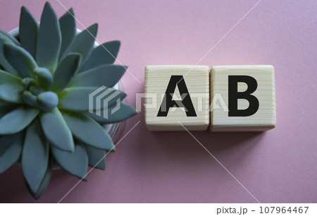 Plan A and Plan B. Plan A and Plan B on wooden cubes. Beautiful pink background with succulent plant. Business concept. Copy space. Plan A and Plan B. Plan A and Plan B on wooden cubes. Beautiful pink background with succulent plant. Business concept. Copy space. 107964467