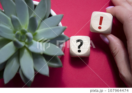 Question mark and exclamation mark symbol. Question mark and exclamation mark on wooden cubes. Businessman hand. Beautiful red background with succulent plant. Business concept. Copy space. Question mark and exclamation mark symbol. Question mark and exclamation mark on wooden cubes. Businessman hand. Beautiful red background with succulent plant. Business concept. Copy space. 107964474