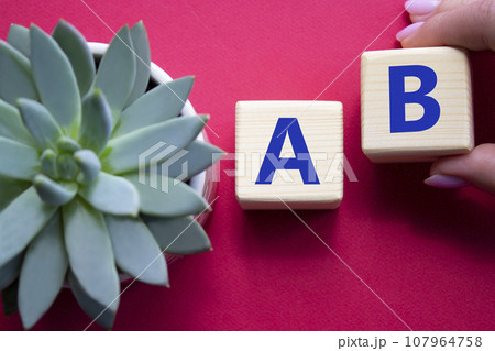 Plan A and Plan B. Businessman hand is making a choice between Plan A and Plan B symbol. Beautiful red background with succulent plant. Business concept. Copy space. Plan A and Plan B. Businessman hand is making a choice between Plan A and Plan B symbol. Beautiful red background with succulent plant. Business concept. Copy space. 107964758