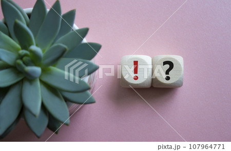 Question mark and exclamation mark symbol. Question mark and exclamation mark on wooden cubes. Beautiful pink background with succulent plant. Business concept. Copy space. 107964771