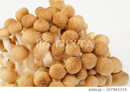 しめじ　ぶなしめじ　きのこ 107965154