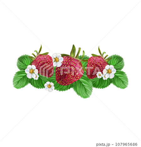 Isolated composition with red strawberry leaf and strawberry flower. For packaging, textiles, stationery and more 107965686