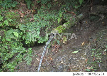 登山道の脇道に湧き出る清水 107965751