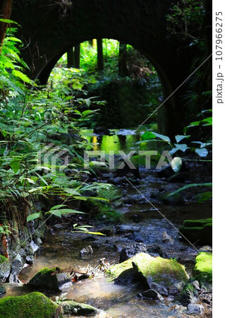 毛呂山町の観光名所獅子ヶ滝下流に架かるアーチ橋と渓流の風景 107966275