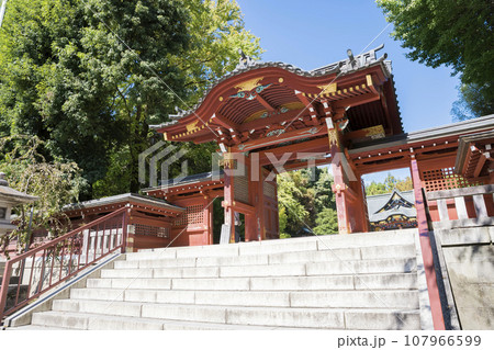 埼玉県秩父 秩父神社の神門と本殿 埼玉県秩父 秩父神社の神門と本殿 107966599