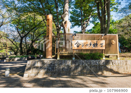 名古屋城　金シャチ横丁 107966900