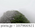 【百名山】霧に覆われた八ヶ岳山頂 107966921