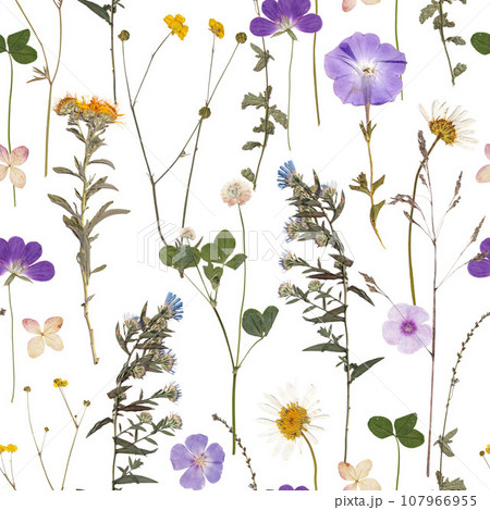 Beautiful floral seamless pattern with realistic wild herbs and flowers. Stock illustration. 107966955