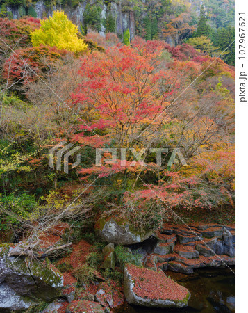 大分_耶馬渓と山移川の紅葉絶景風景 大分_耶馬渓と山移川の紅葉絶景風景 107967621