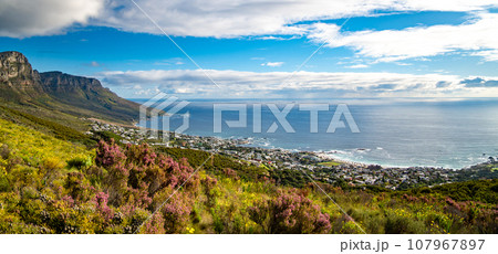 View of Camps bay from Kloof Corner hike at sunset in Cape Town, Western Cape, South Africa 107967897