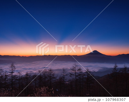 山梨_甘利山から見る甲府盆地と富士山の夜明けの絶景風景 107968307
