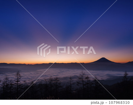 山梨_甘利山から見る甲府盆地と富士山の夜明けの絶景風景 107968310