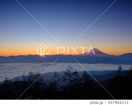 山梨_甘利山から見る甲府盆地と富士山の夜明けの絶景風景 107968311