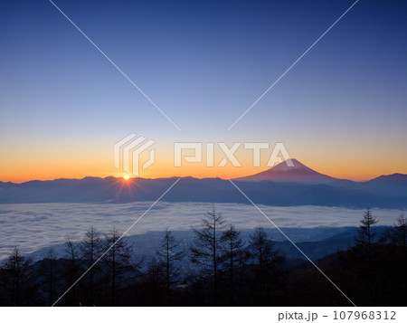 山梨_甘利山から見る甲府盆地と富士山の夜明けの絶景風景 107968312