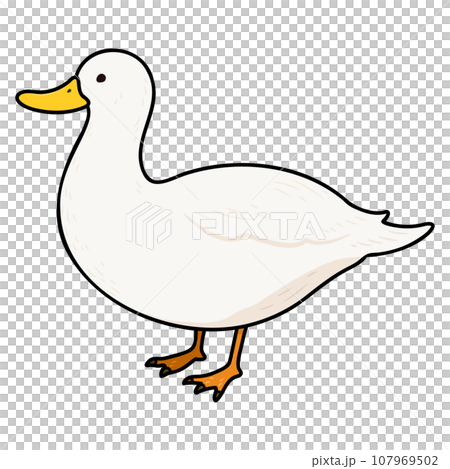 簡單可愛的手繪插畫白鴨主線 107969502