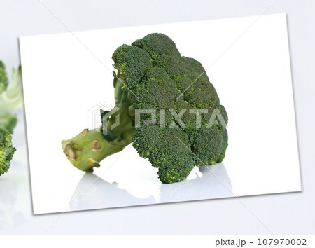 Broccoli isolated on white background 107970002
