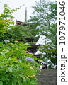 紫陽花と五重塔 107971046