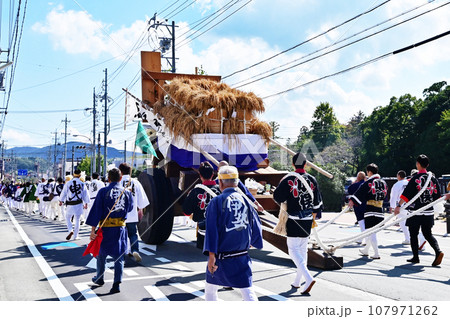 初穂曵き　伊勢神宮神嘗祭　陸曳き　伊勢まつり　伝統行事 107971262