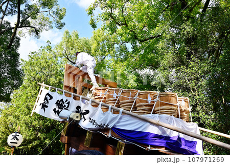 初穂曵き　伊勢神宮神嘗祭　陸曳き　伊勢まつり　伝統行事 107971269