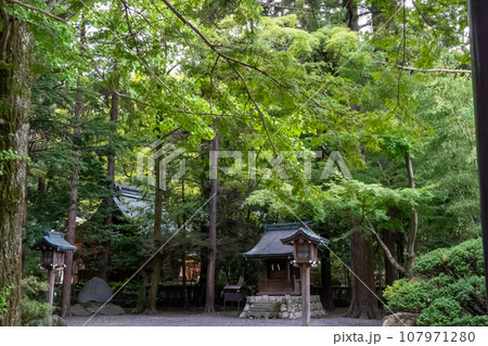 緑に覆われた神社の祠 緑に覆われた神社の祠 107971280