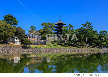 猿沢池から国宝 興福寺五重塔 2023年10月18日 猿沢池から国宝 興福寺五重塔 2023年10月18日 107971509