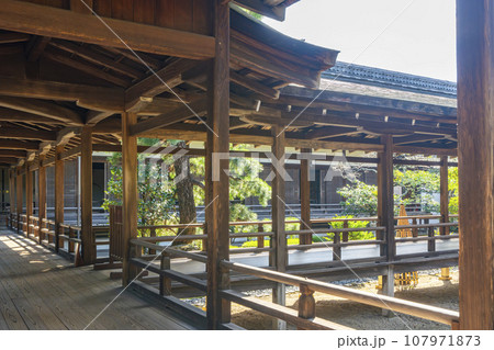 大覚寺 村雨の廊下(京都市右京区嵯峨大沢町) 大覚寺 村雨の廊下(京都市右京区嵯峨大沢町) 107971873