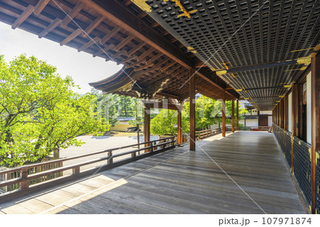 大覚寺 宸殿(京都市右京区嵯峨大沢町) 大覚寺 宸殿(京都市右京区嵯峨大沢町) 107971874