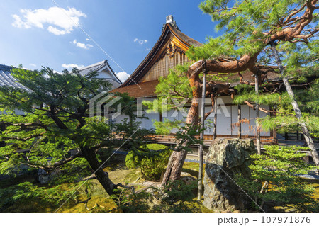 大覚寺 正寝殿 日本庭園(京都市右京区嵯峨大沢町) 大覚寺 正寝殿 日本庭園(京都市右京区嵯峨大沢町) 107971876