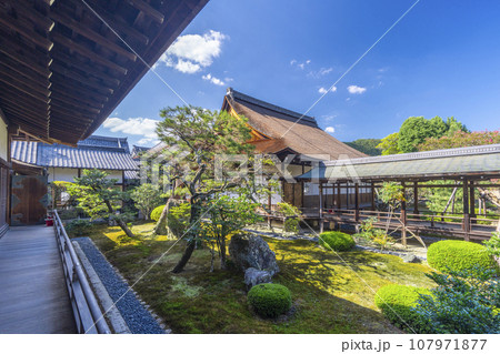 大覚寺　正寝殿　日本庭園（京都市右京区嵯峨大沢町） 107971877
