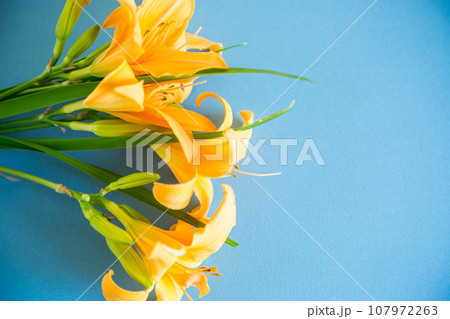 bouquet of beautiful yellow lilies on blue background 107972263