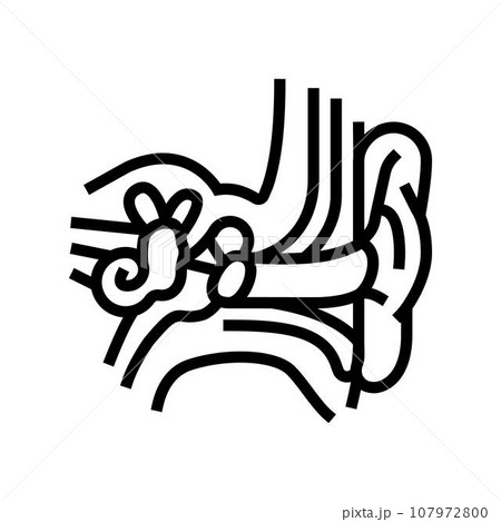 ear anatomy audiologist doctor line icon vector illustration 107972800
