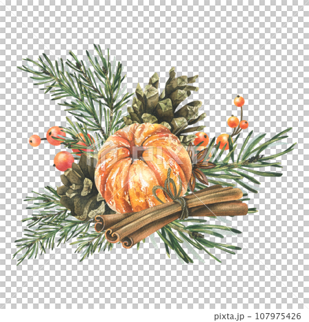 Peeled tangerine with spruce branches, pine cones and spices. Hand drawn watercolor illustration. Isolated composition on a white background for New Year and Christmas. Peeled tangerine with spruce branches, pine cones and spices. Hand drawn watercolor illustration. Isolated composition on a white background for New Year and Christmas. 107975426