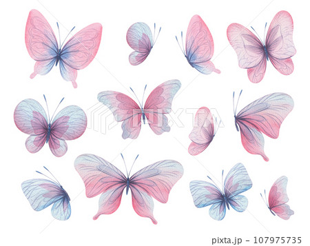 Butterflies are pink, blue, lilac, flying, delicate with wings and splashes of paint. Hand drawn watercolor illustration. Set of isolated elements on a white background, for design. 107975735