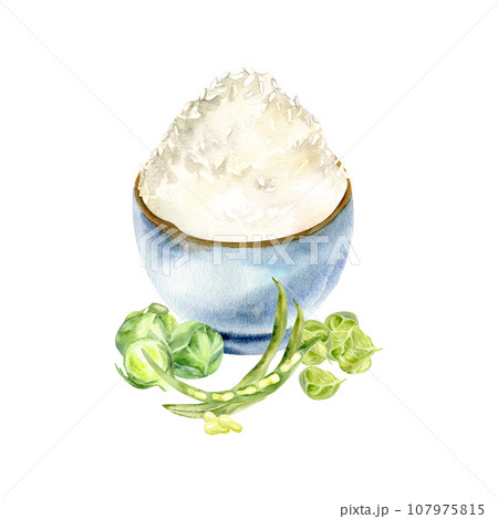Watercolor asian traditional rice bowl in blue ceramic pot with vegetables. Hand drawn chinese food illustration, isolated for restaurant, menu, cafe design Watercolor asian traditional rice bowl in blue ceramic pot with vegetables. Hand drawn chinese food illustration, isolated for restaurant, menu, cafe design 107975815
