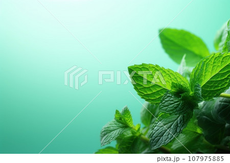 Mint leaves against green background. Generative AI 107975885
