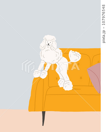 Cute illustration of white dog sitting on the couch. Cute white poodle character. Stylish dog illustration in interior. Vector illustration Cute illustration of white dog sitting on the couch. Cute white poodle character. Stylish dog illustration in interior. Vector illustration 107976548
