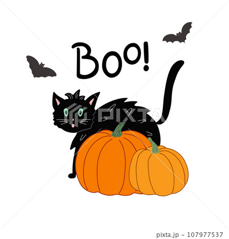 Halloween holiday decorated scene witch cute cat, bat, pumpkins, boo phrase for poster, home or party decor, autumn holiday celebration decor for card, poster, party design, horror story concept 107977537