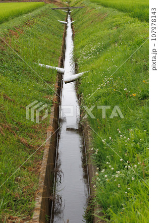 田んぼのあぜ道に流れる用水路 田んぼのあぜ道に流れる用水路 107978143