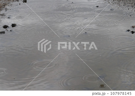 雨粒の波紋 107978145