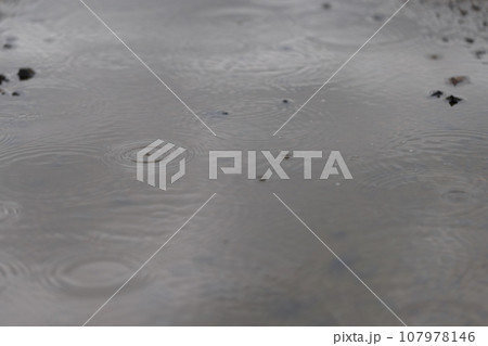 雨粒の波紋 雨粒の波紋 107978146