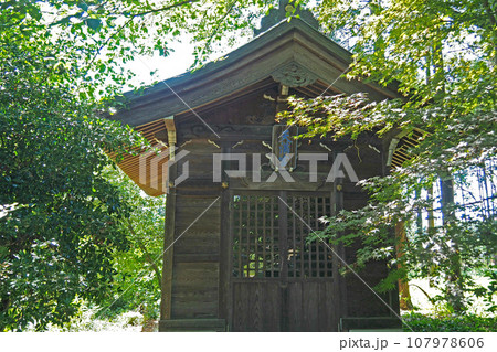 息障院(伝範頼館跡)の天満宮【埼玉県吉見町】 息障院(伝範頼館跡)の天満宮【埼玉県吉見町】 107978606