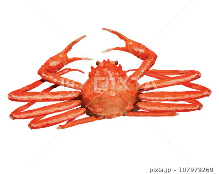 ズワイガニ(一杯) ズワイガニ(一杯) 107979269