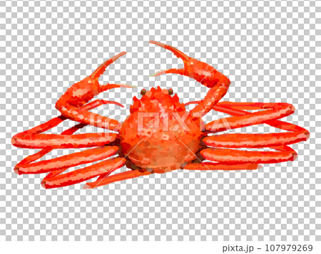 ズワイガニ(一杯) ズワイガニ(一杯) 107979269