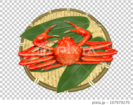 ズワイガニ(一杯)ザル笹の葉付き ズワイガニ(一杯)ザル笹の葉付き 107979270