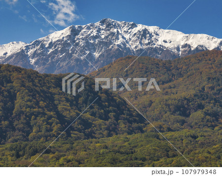 栂池高原から見る冠雪した白馬岳との三段紅葉　長野県小谷村（ドローンによる空撮） 107979348
