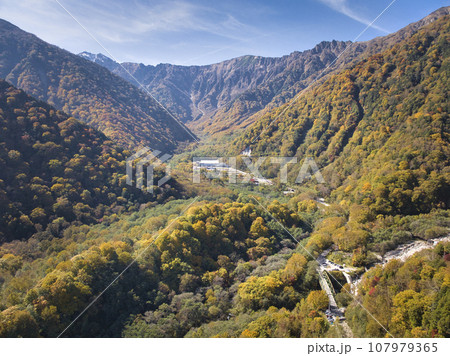 壮大な扇沢の紅葉　長野県大町市（ドローンによる空撮） 107979365